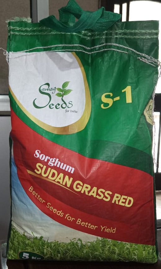 Sorghum Sudan Grass Red(Multicut)